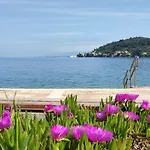 Rosa A House Next To The Sea!