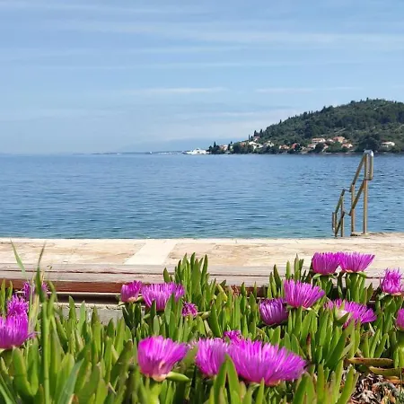 Rosa A House Next To The Sea!